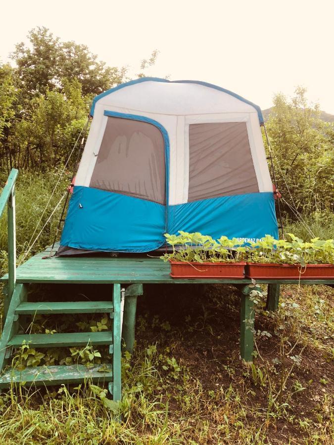 Tereza Glamping Hotel Sanain Eksteriør billede