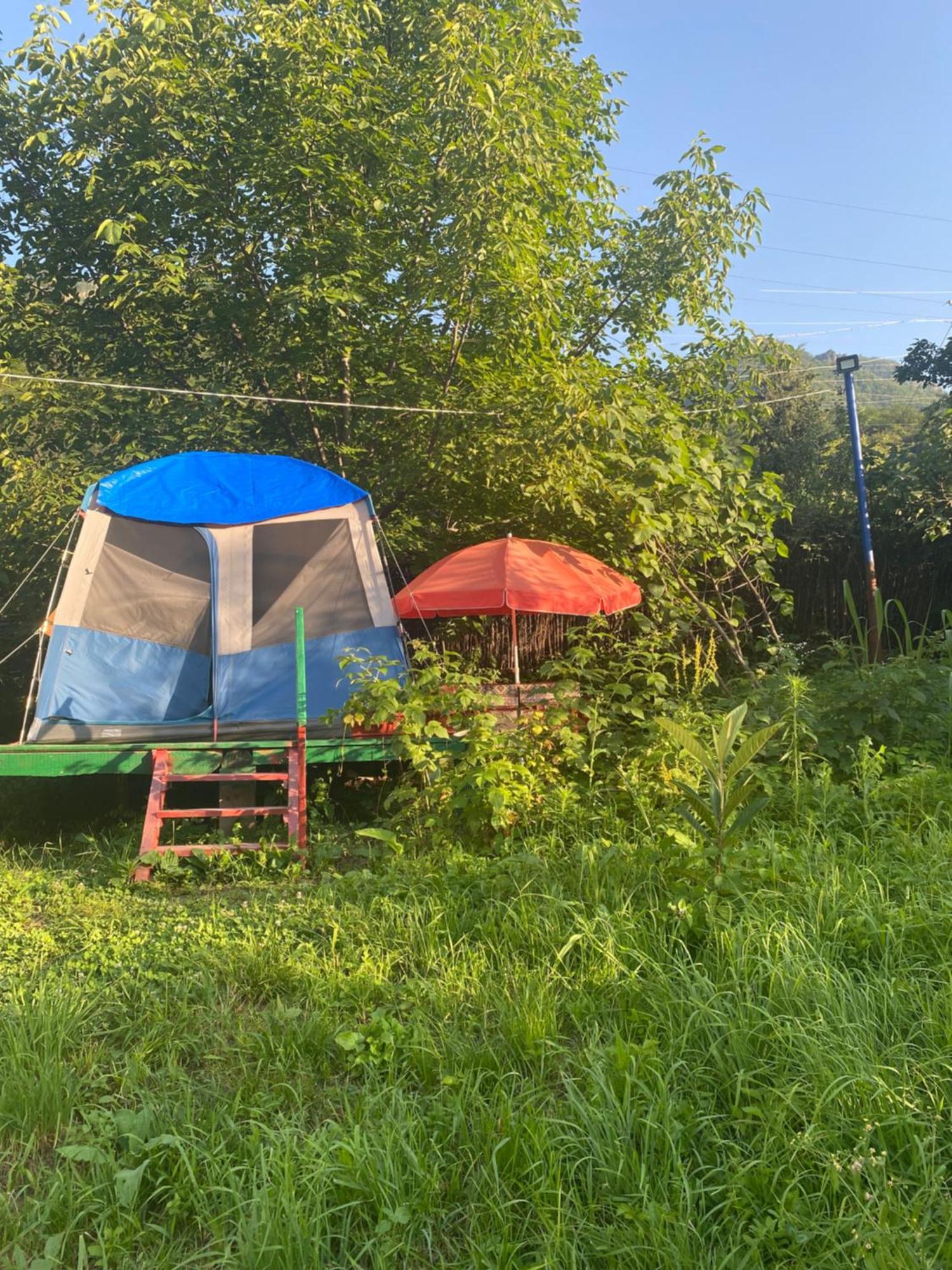 Tereza Glamping Hotel Sanain Eksteriør billede