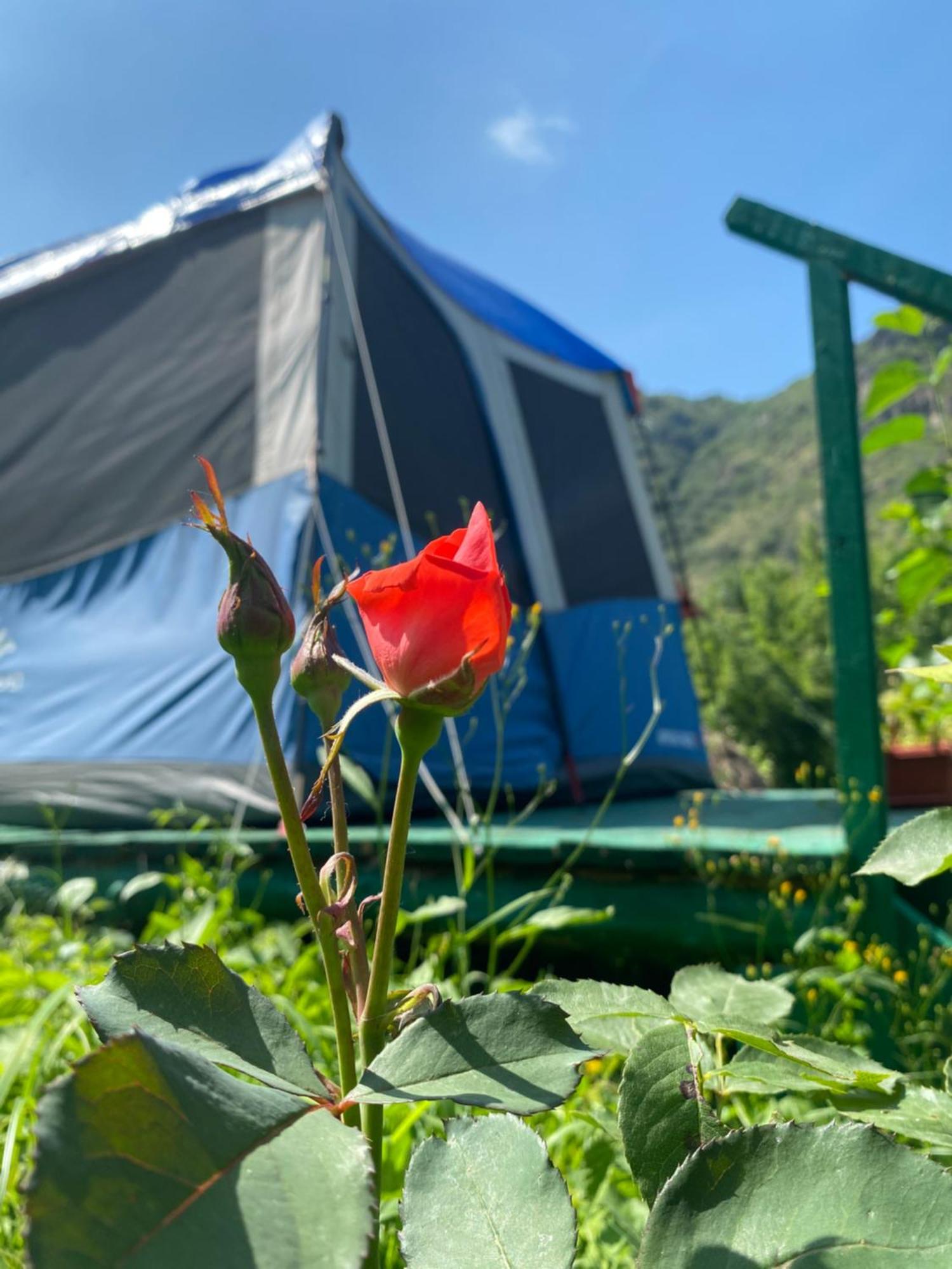 Tereza Glamping Hotel Sanain Eksteriør billede