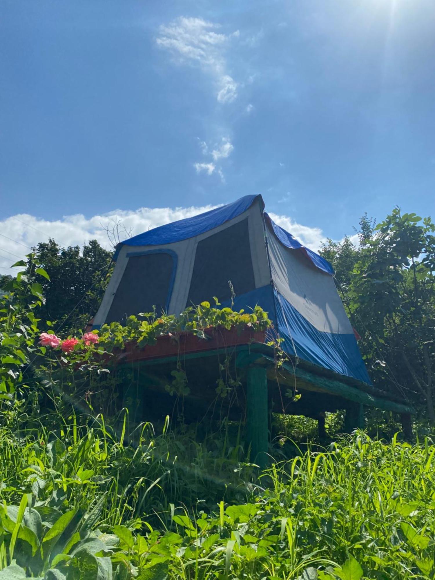 Tereza Glamping Hotel Sanain Eksteriør billede